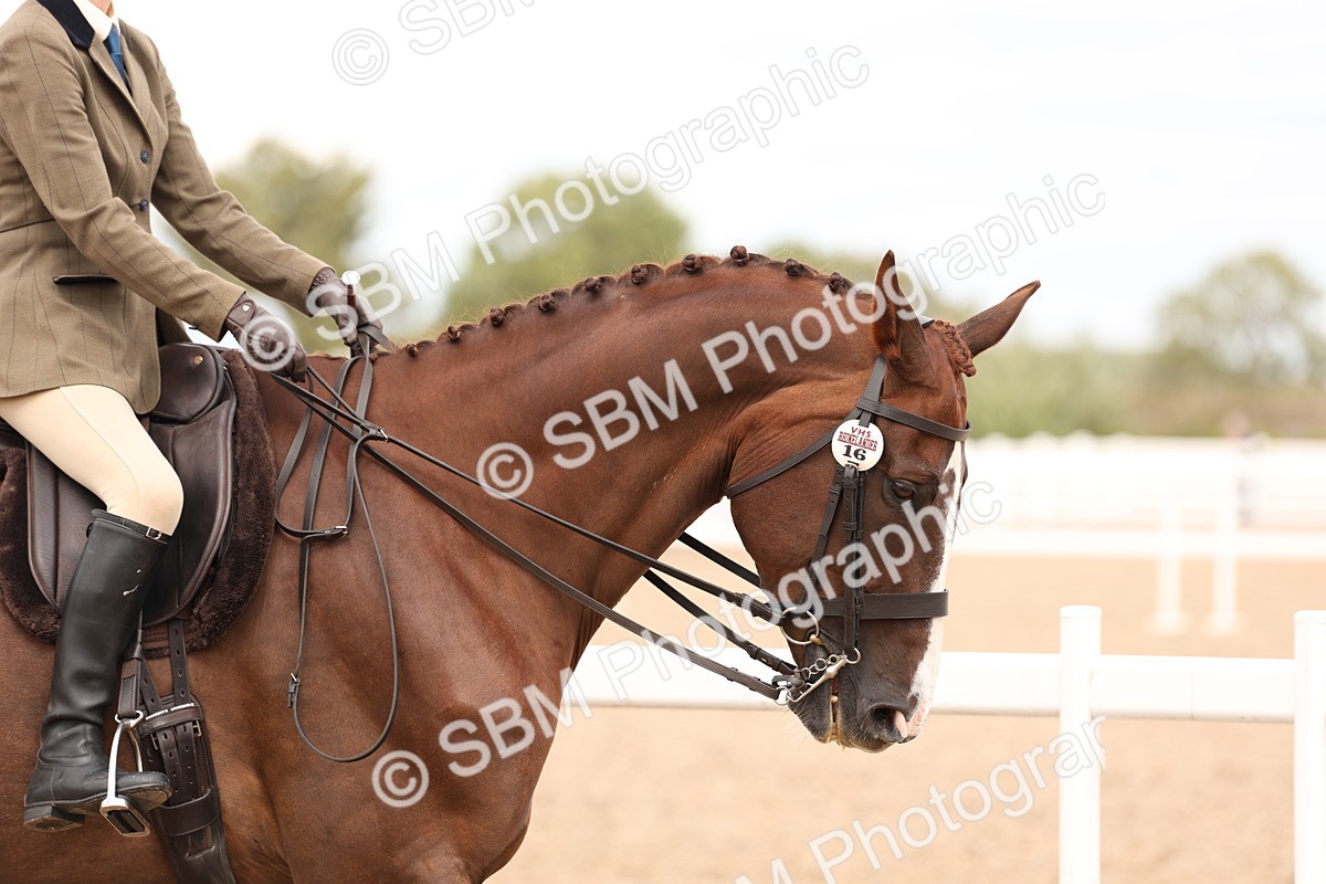 SBM_17181 - Class 213 - Ridden Hunter - Large