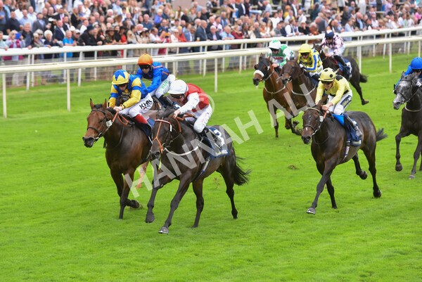 yr24092021r2-26 - Race 2 2.05pm William Hill Extra Places Races Stakes