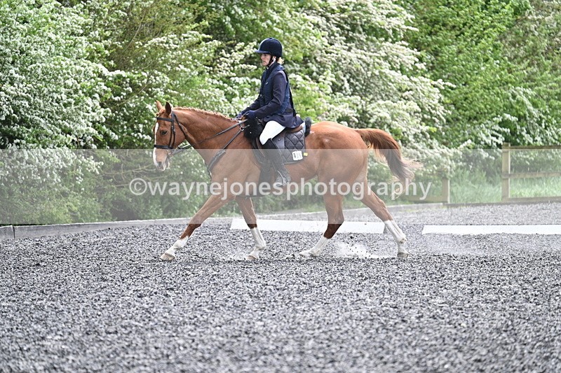 WJ7_0808 - Time 14:01 to 14:12