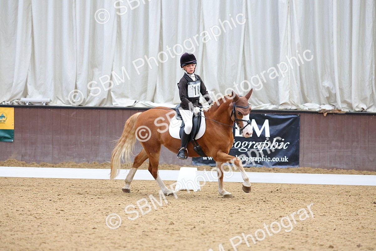 SBM_002967 - Novice