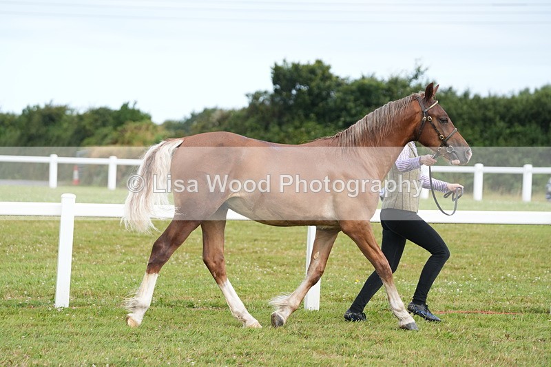 DSC04759 - Class 47: NPS M&M Yearling