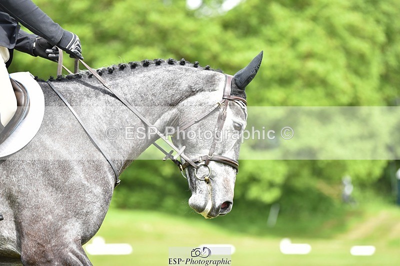 240523B-120648-02151 - 5 Year Old