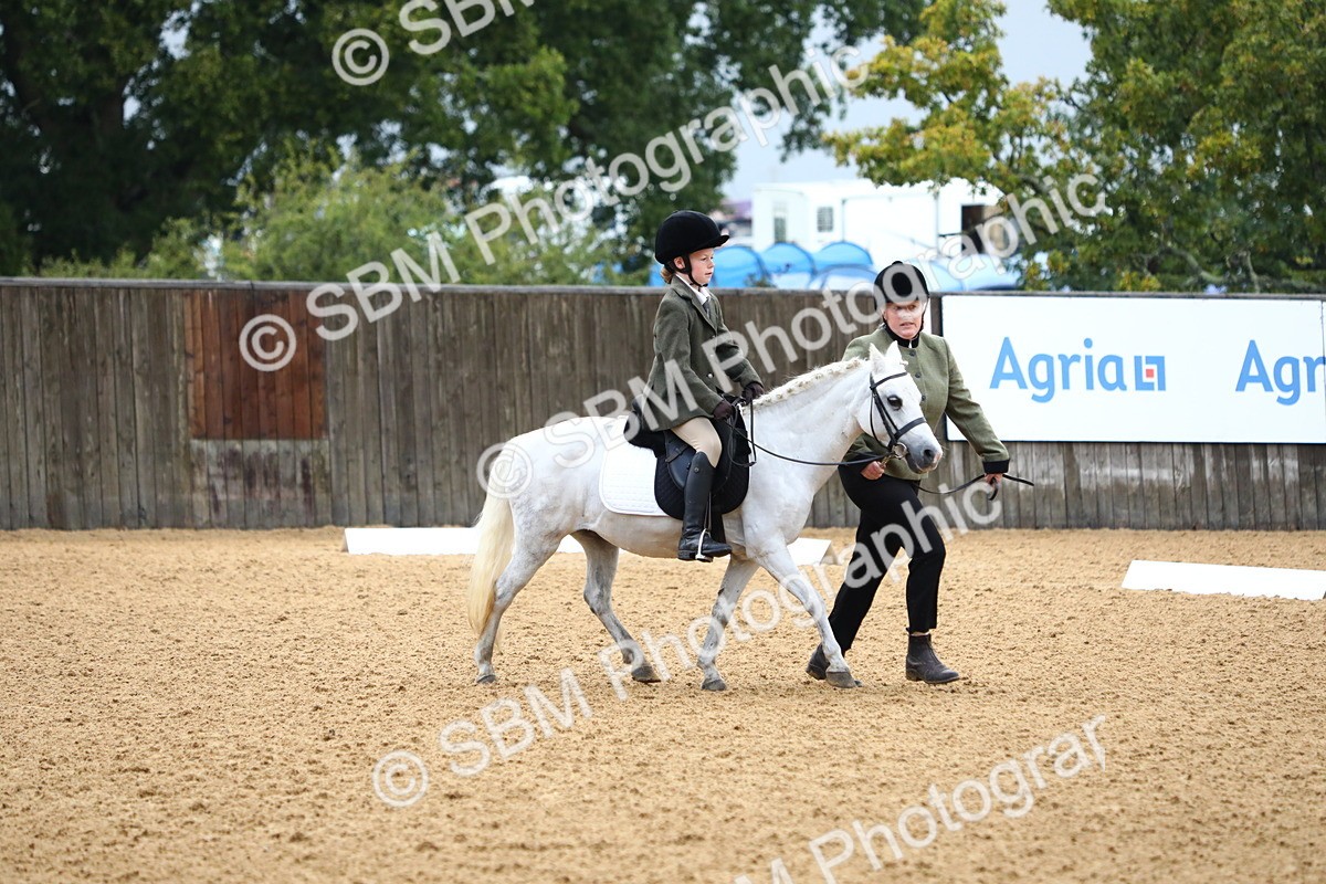 SBM_34543 - D26 - Starters Lead Rein