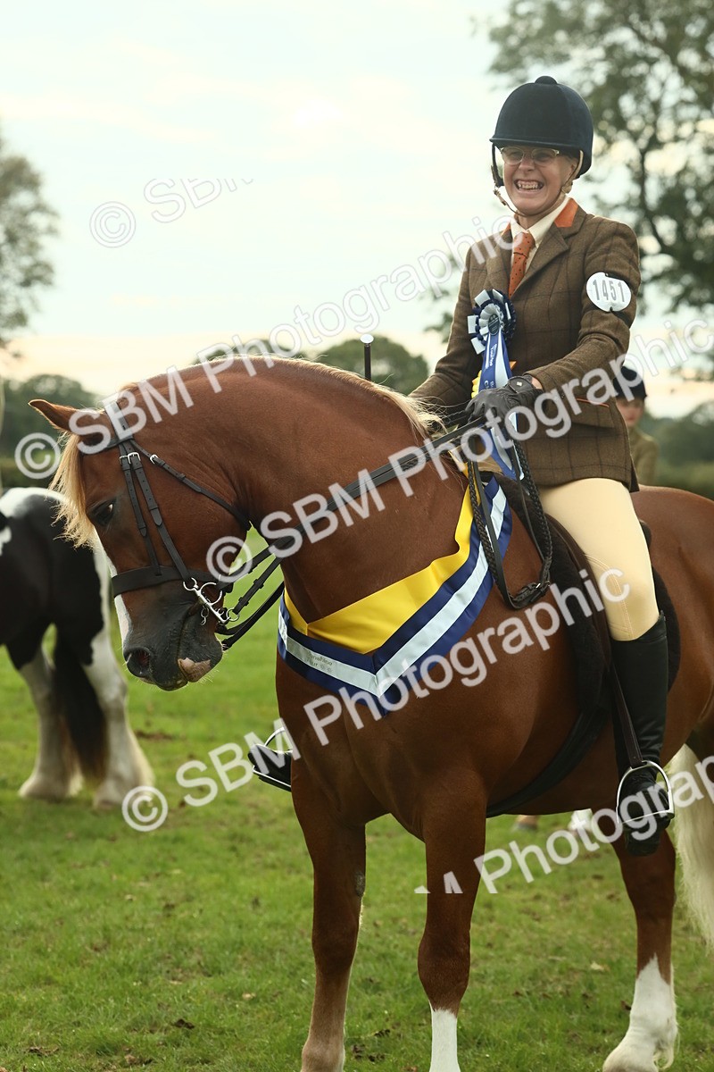 SBM_75117 - Ridden Pony Supreme Championship