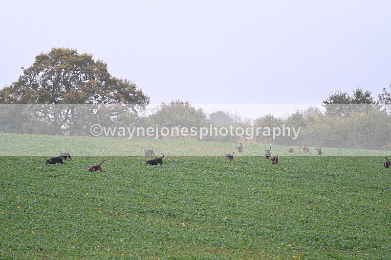 WJ7_8878 - Camera 1 only on this line