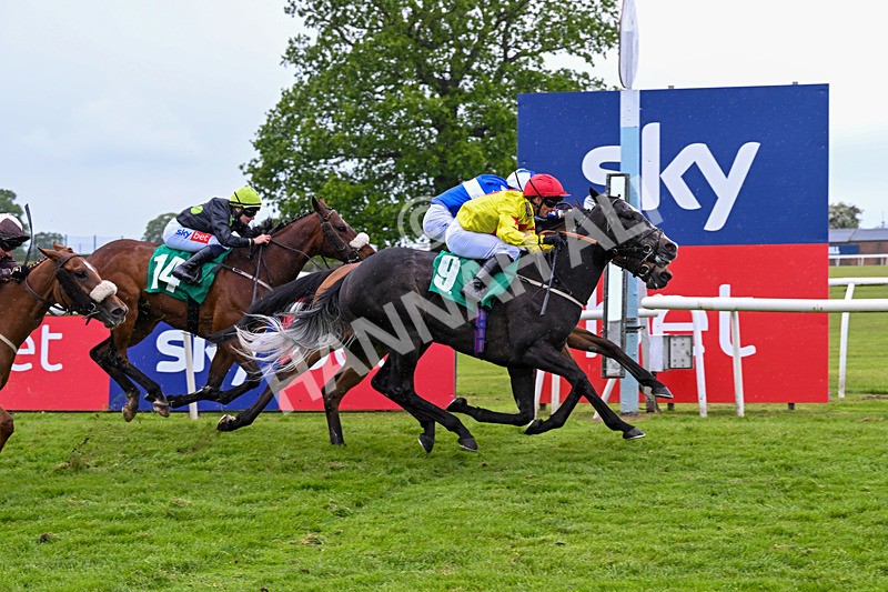 160526-Race 7-Brighton Boy-0114 - Race 7 5.25pm Sky Bet Price Boosts Handicap