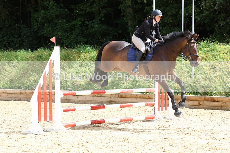 3E7A0209 - Class 9: Senior British Novice/90cm open