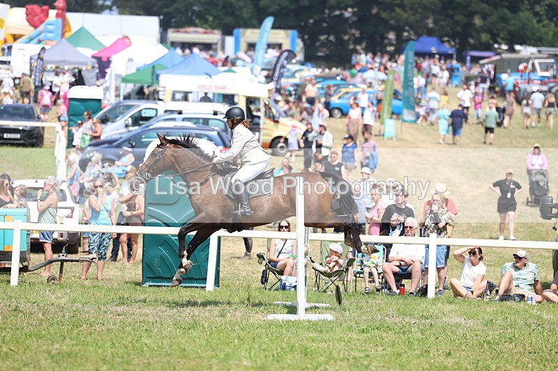 3E7A2854 - Class 7: Senior British Novice/90cm open