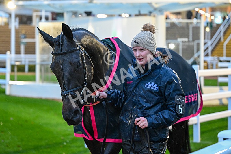 141125-Race 6-Frontier Prince-1202 - Race 6