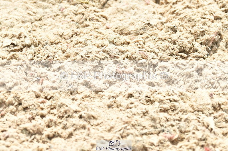 230721A-115452-05911 - Cls 18, 1 Star Silver 1.20m