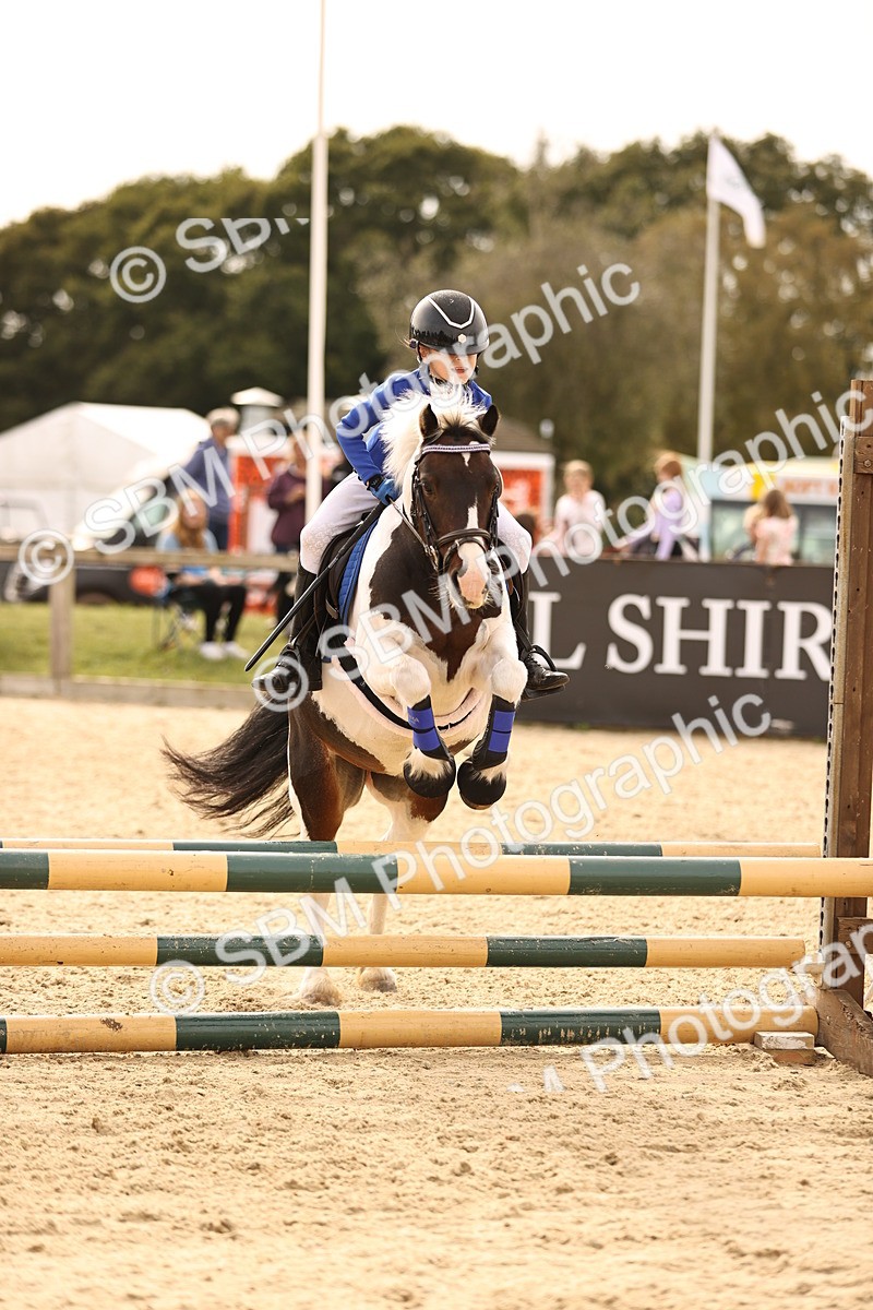 SBM_70803 - J13 - Junior Pony 60cm Championship
