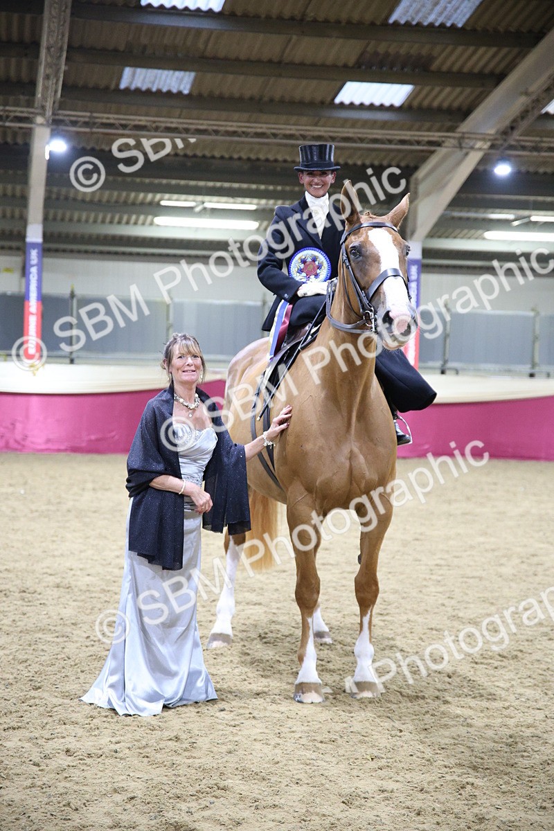 5K7A1508 - Class L Side Saddle Champ