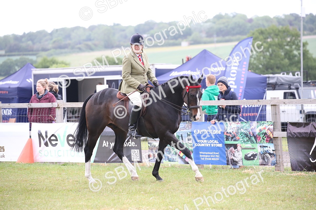 SBM_11403 - Class 94 - LIHS BSHA Racehorse to Showhorse