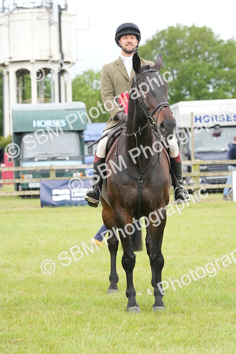 SBM_12849 - Class 97-98 - LIHS BSHA Rising Star Working Show Horse Hunter