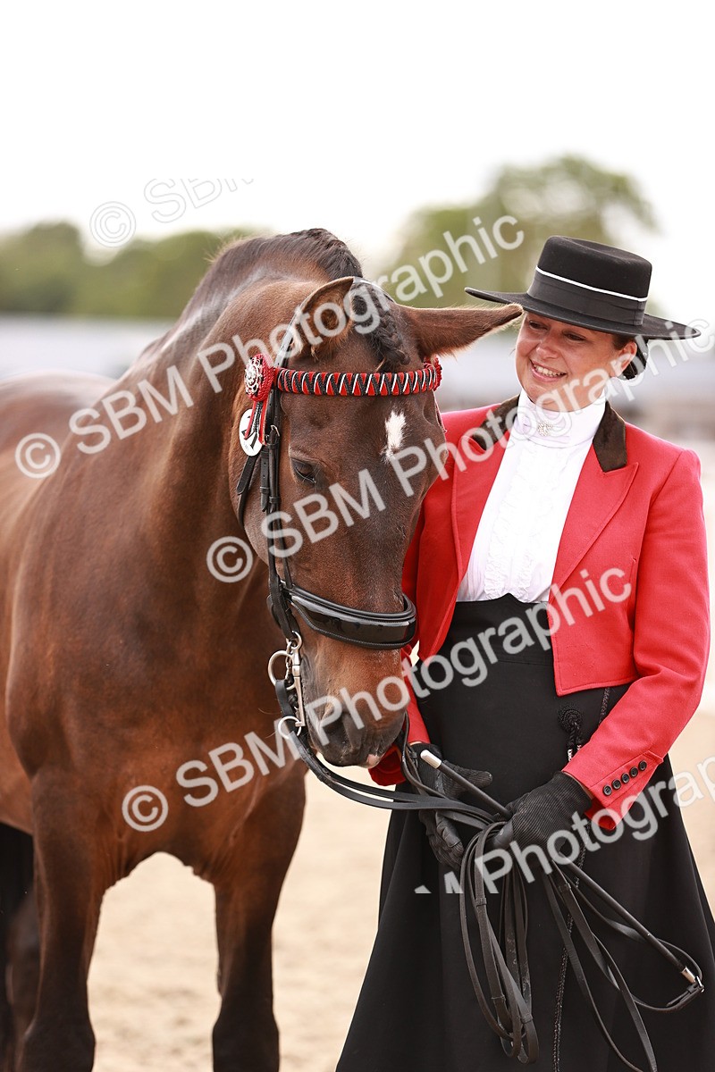 SBM_16935 - Class 415 - Horse-Pony Judge would most like to take home