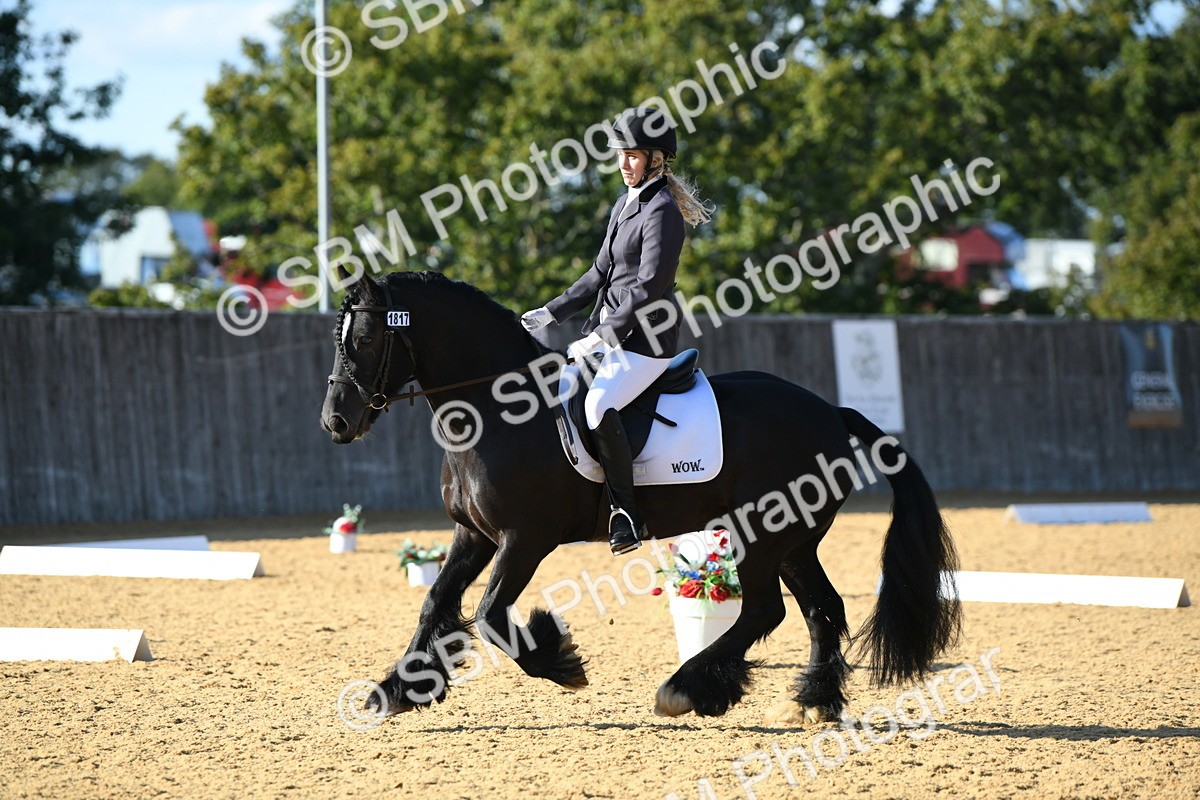 SBM_28465 - D16 - Small Tour Championship - Novice 28