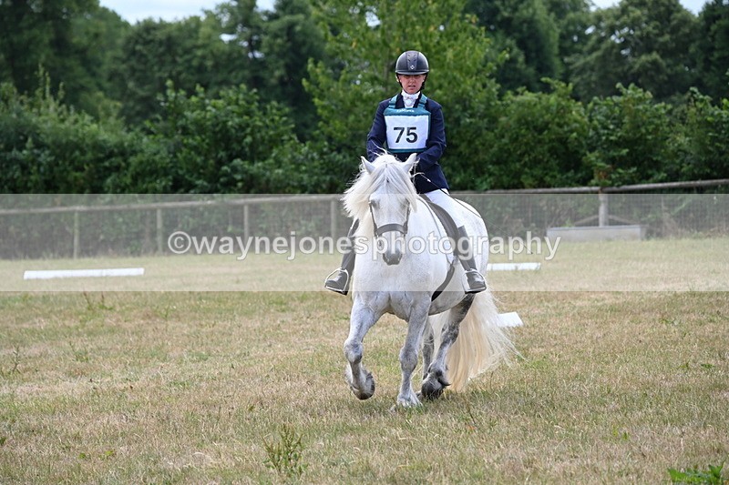 WJ6_3208 - Time 11:34 to 11:43