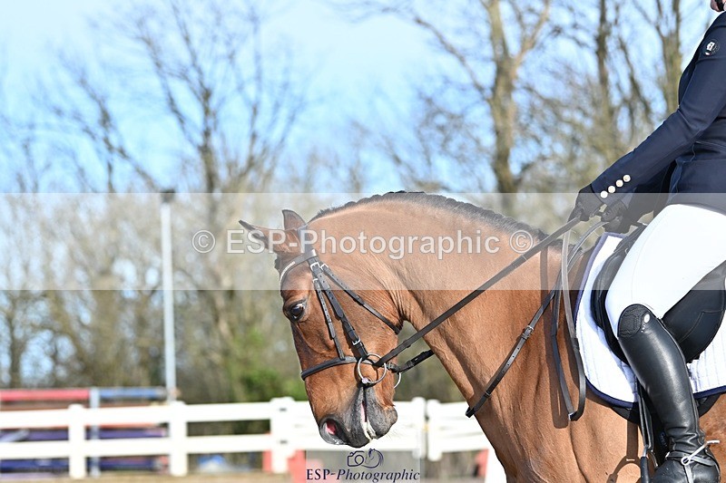 250125-101658-00145 - Dressage - CT Class 4 BE95 (80cm)