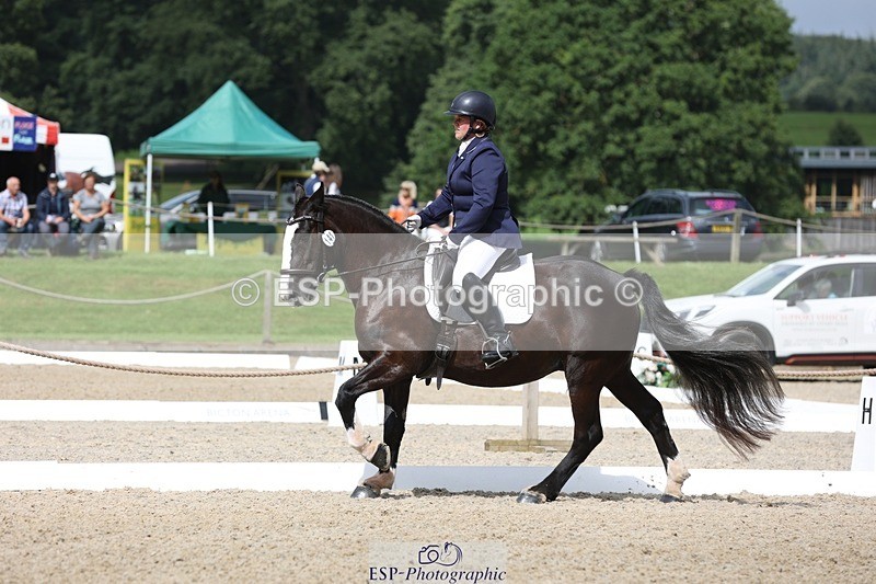 230812-111844-03731 - Cls 5 Novice Bronze 11.15 to 12.50 break
