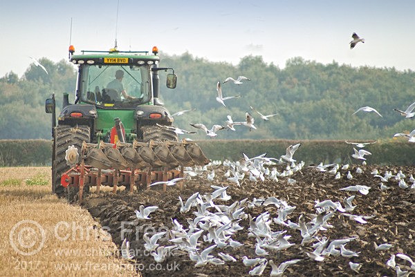  - Farming/Agriculture