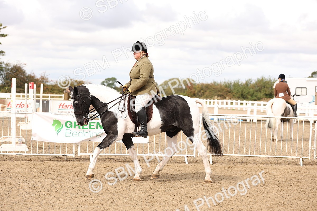 SBM_04281 - Class 54 - Riding Club Horse/Pony