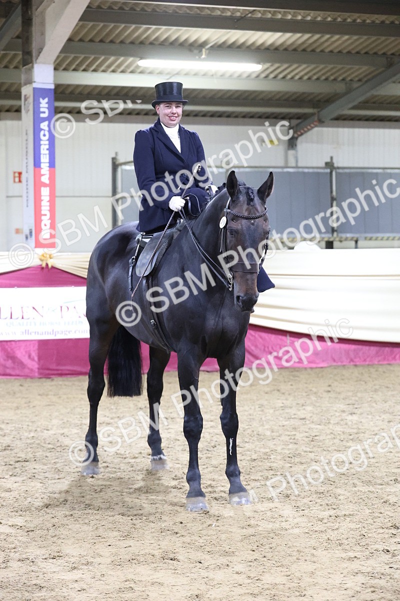 SBM_20981 - Class N - Side Saddle Champ