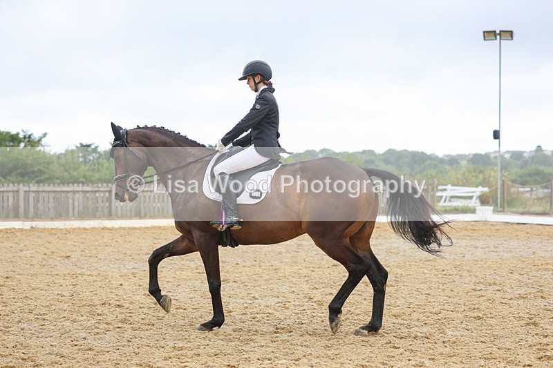 3E7A9813 - Class 6: Novice 3 2024 Section B