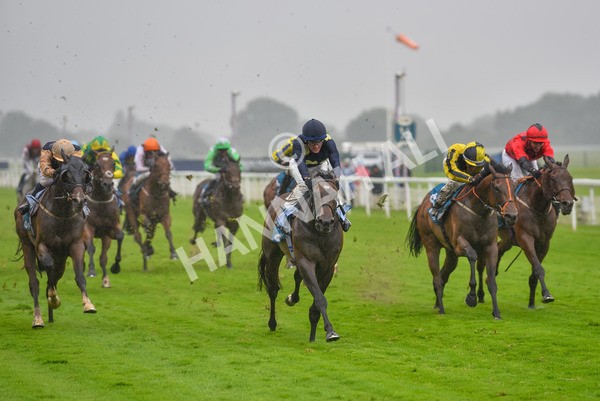 140723-Race 5-Monte Linas-8284 - Race 5 4.25pm Coopers Marquees Handicap