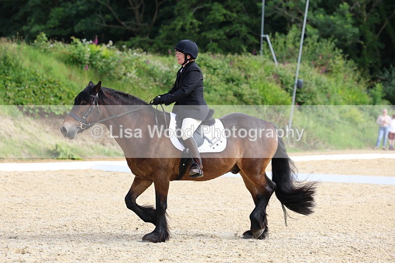 3E7A1379 - Class 1: Intro 2 2024 Section A