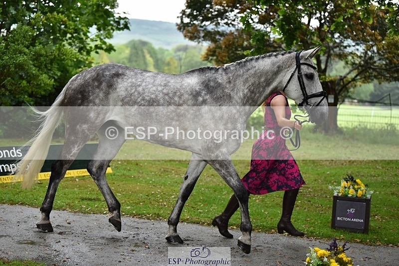 240522-153438-00448 - 371-TALIA-Grace_Taylor