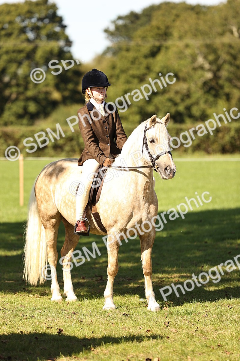 SBM_19176 - S3 - TSR Ridden Pony Showing