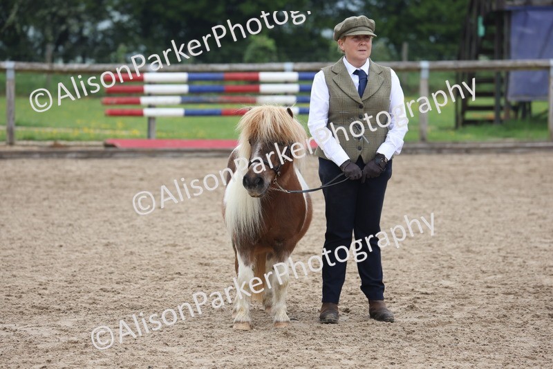 20260504-0524 - Class 4 - Minitures and Shetlands