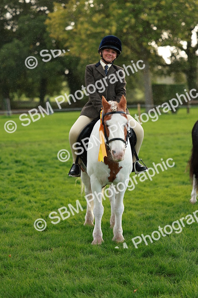 SBM_28908 - S7 - Novice & Newcomer Ridden Pony