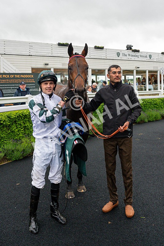 110626-Race 1-Collateral Damage-0253 - Race 1 18.22pm British EBF Maiden Stakes