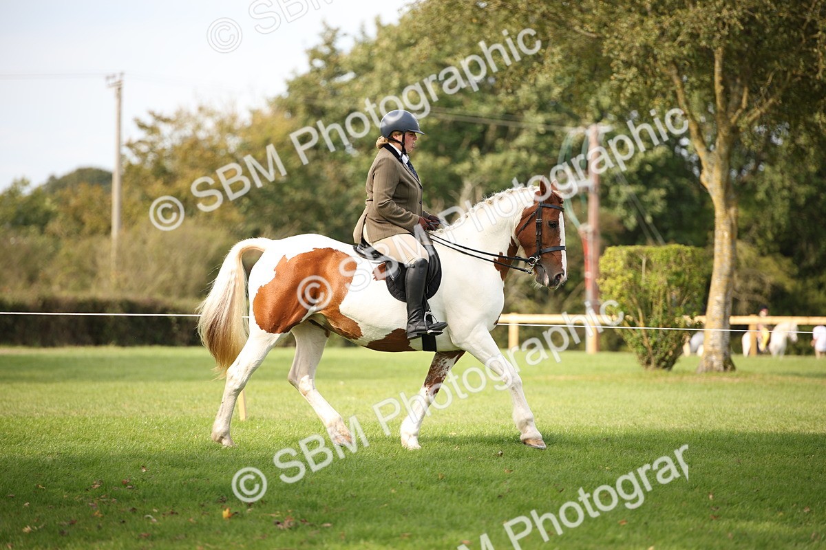 SBM_70358 - S66 - Hunter Ridden