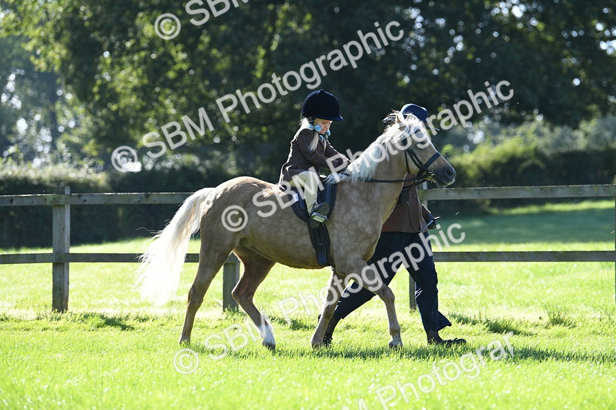 SBM_36824 - S18 - Novice & Newcomers Lead Rein Pony