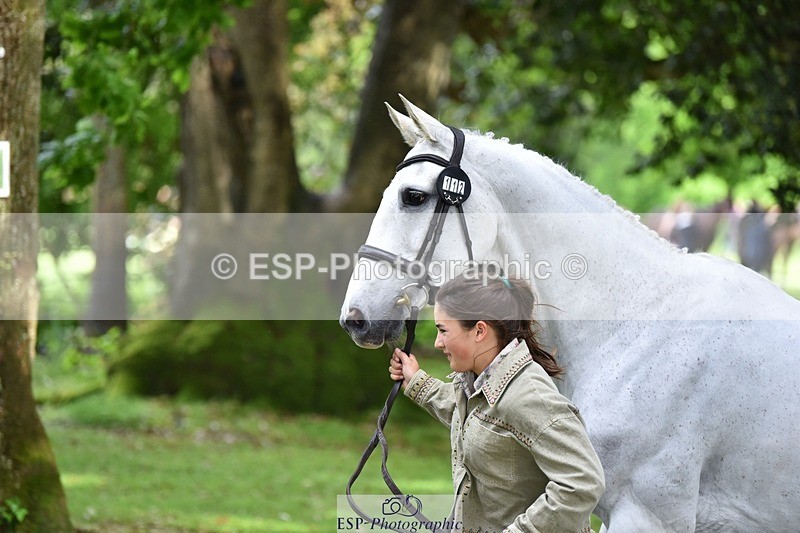 240522-155930-00627 - 112-DISCO_DONUT-Mahony_Knight