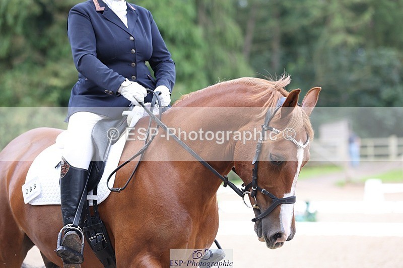 230813-095011-06156 - Cls 11 Elem Bronze Start to 10.50 break