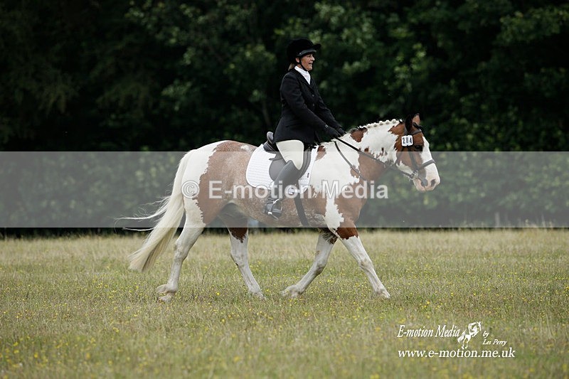 BVRC 030721 88 - Bourne Valley Riding Club Dressage 03/07/21