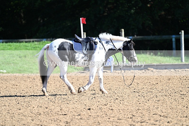 WJ7_1278 - Time 10:39 to 11:18