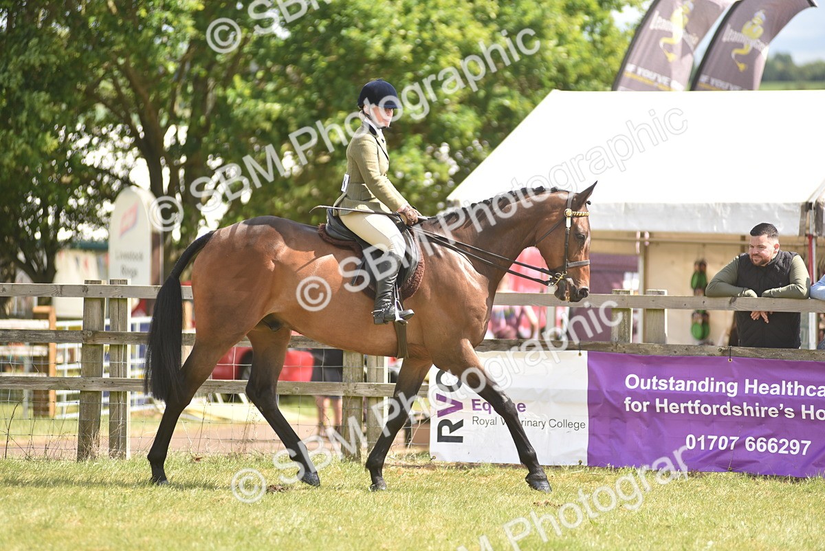 SBM_15067 - Class 113-114 - Retraining of Racehorses Ridden