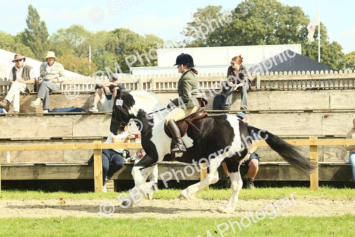 SBM_68819 - S58 - Mini Show Cob Ridden