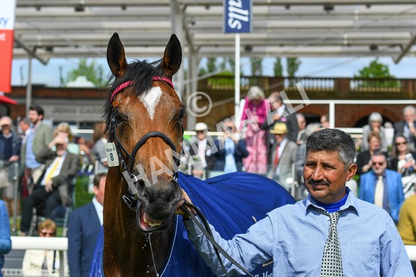 170523-Race 4-Soul Sister-0628 - Race 4 3.35pm Tattersalls Musidora Stakes
