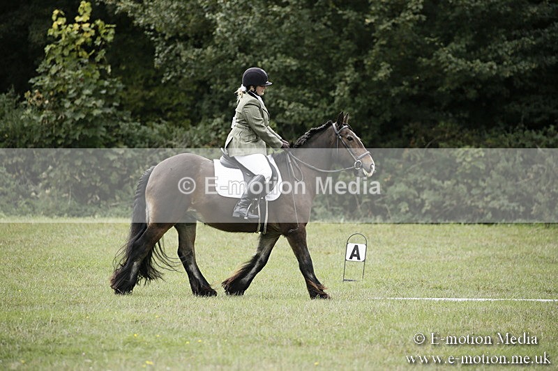 BVR080918 103 - BVRC Novice Dressage & CR 08/09/18