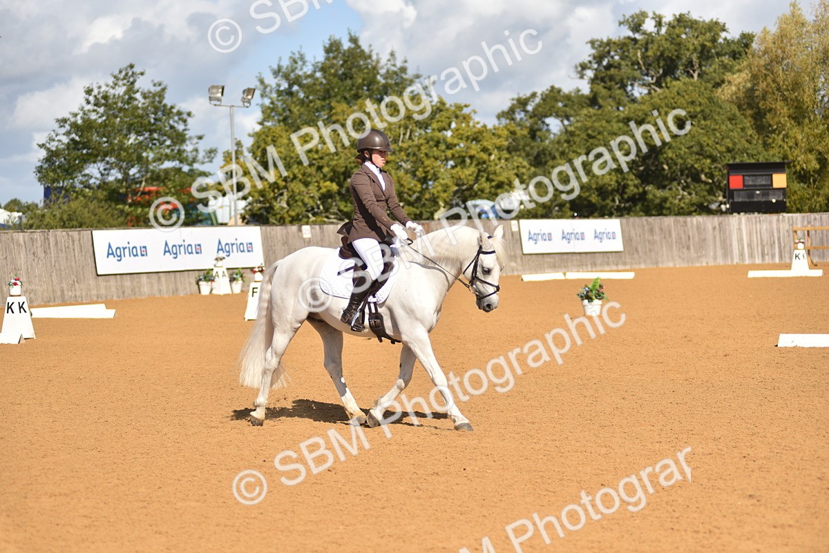 SBM_02987 - D4 - Small Tour Championship Intro 4
