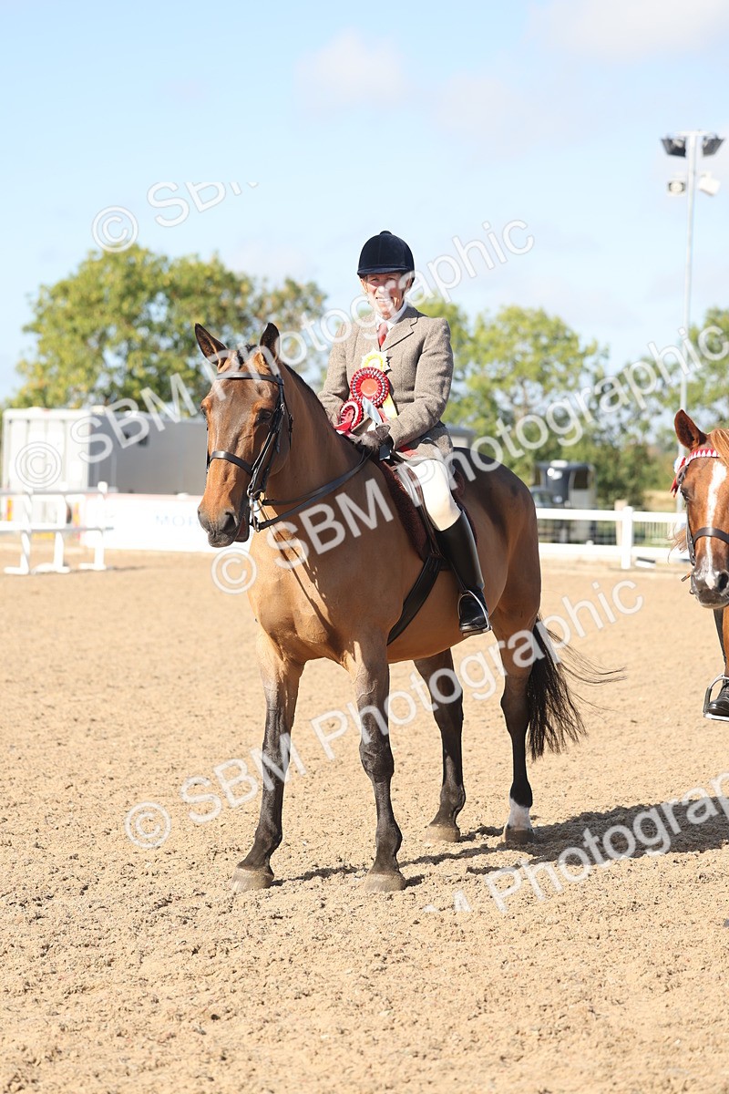 SBM_22338 - Class 803 - Ridden Combination 65+