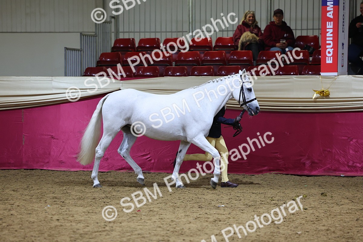 SBM_18670 - Class D IH Pony Champ