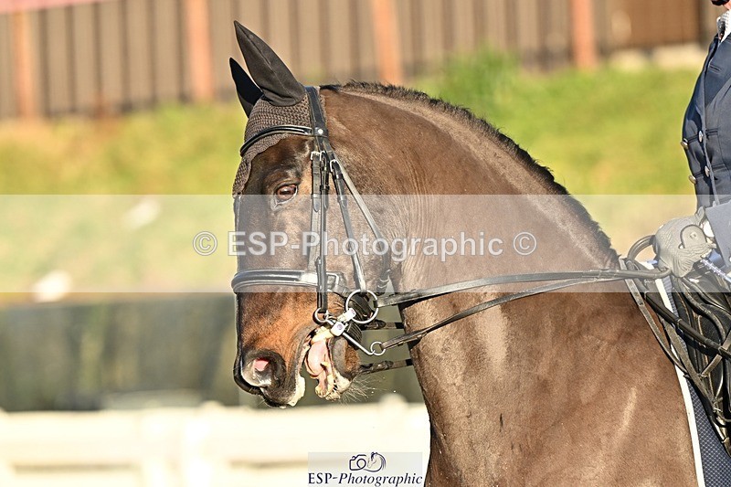 241214-144210-02939 - 133-victoria.Young-Donizetti.ll