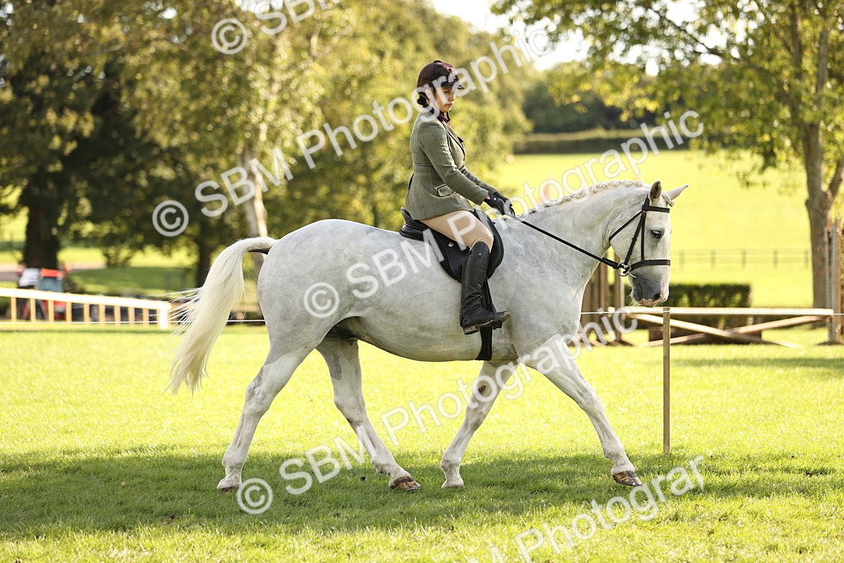 SBM_26420 - S6 - Novice & Newcomers Ridden Horse