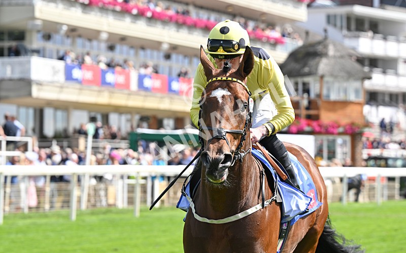 220826-023 Hankelow - Race 1 13.50pm Sky Bet Strensall Stakes